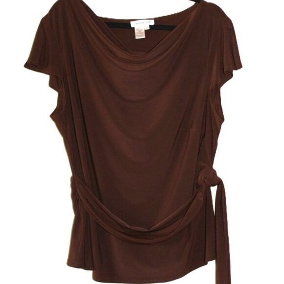 COLDWATER CREEK Made-in-USA Stretchy Tunic Blouse with Belt in Brown (22W) - Picture 1 of 6